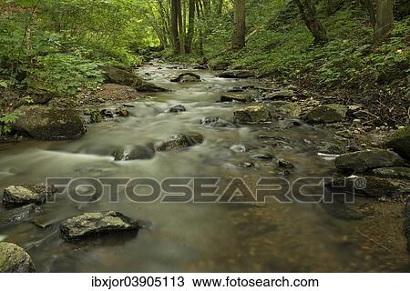 Stock Image - "Kajabach stream, Thaya Valley National Park, Lower Austria, Austria, Europe". Fotosearch