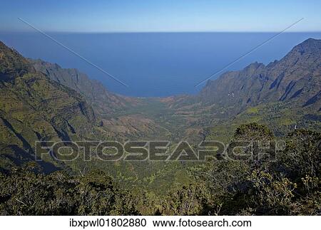"Kalalau Valley, Koke'e State Park, Kauai, Hawaii, USA" View Large Photo Image Stock Image - "Kalalau Valley, Koke'e State Park, Kauai, Hawaii, USA". Fotosearch