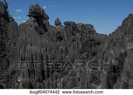 "Karst Landscape, National Park Tsingy du Bemaraha, UNESCO World Heritage Site, Mahajanga, Madagascar, Africa" View Large Photo Image Stock Image - "Karst Landscape, National Park Tsingy du Bemaraha, UNESCO World Heritage Site, Mahajanga, Madagascar, Africa". Fotosearch