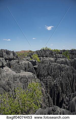 "Karst Landscape, National Park Tsingy du Bemaraha, UNESCO World Heritage Site, Mahajanga, Madagascar, Africa" View Large Photo Image Stock Image - "Karst Landscape, National Park Tsingy du Bemaraha, UNESCO World Heritage Site, Mahajanga, Madagascar, Africa". Fotosearch