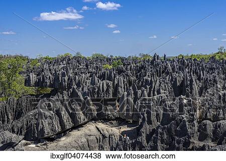 "Karst Landscape, National Park Tsingy du Bemaraha, UNESCO World Heritage Site, Mahajanga, Madagascar, Africa" View Large Photo Image Stock Photo - "Karst Landscape, National Park Tsingy du Bemaraha, UNESCO World Heritage Site, Mahajanga, Madagascar, Africa". Fotosearch