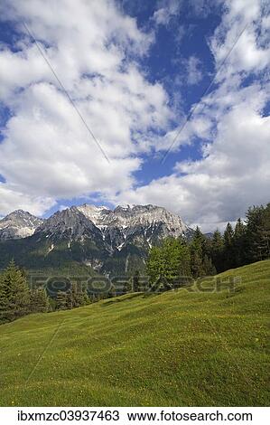 "Karwendel mountain range, flowering spring meadow at the front, Mittenwald, Bavaria, Germany, Europe" View Large Photo Image Stock Image - "Karwendel mountain range, flowering spring meadow at the front, Mittenwald, Bavaria, Germany, Europe". Fotosearch