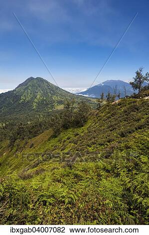 "Kawah Ijen landscape, Ijen crater, Banyuwangi, East Java, Indonesia, Asia" View Large Photo Image Stock Image - "Kawah Ijen landscape, Ijen crater, Banyuwangi, East Java, Indonesia, Asia". Fotosearch