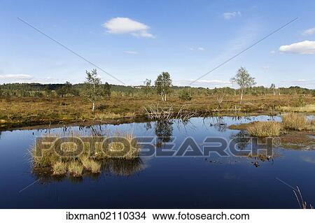 "Kendlmuehlfilzen nature reserve, also known as Kendlmuehlfilzn or Kendlmuehlfilz nature reserve, Grassau, Westerbuchberg at the back, Chiemgau, Upper Bavaria, Bavaria, Germany, Europe" View Large Photo Image Picture - "Kendlmuehlfilzen nature reserve, also known as Kendlmuehlfilzn or Kendlmuehlfilz nature reserve, Grassau, Westerbuchberg at the back, Chiemgau, Upper Bavaria, Bavaria, Germany, Europe". Fotosearch