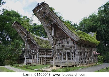Stock Image - "Ke'te Kesu' village with traditional Toraja houses near Rantepao, Sulawesi, Indonesia, Southeast Asia, Asia". Fotosearch