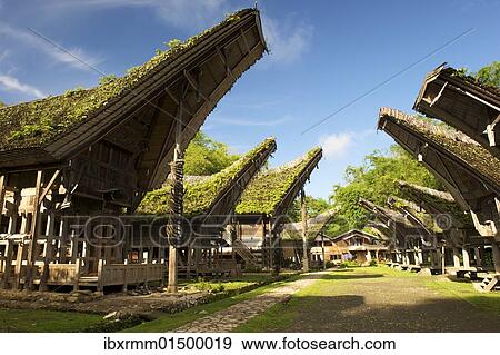 "Ke'te Kesu' village with traditional Toraja houses near Rantepao, Sulawesi, Indonesia, Southeast Asia, Asia" View Large Photo Image Stock Photo - "Ke'te Kesu' village with traditional Toraja houses near Rantepao, Sulawesi, Indonesia, Southeast Asia, Asia". Fotosearch