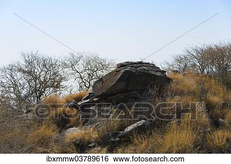 "Khomas Region, Namibia, Africa" View Large Photo Image Stock Photograph - "Khomas Region, Namibia, Africa". Fotosearch