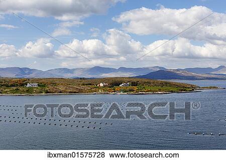 "Kilmakilloge Harbour, shellfish farming, Beara Peninsula, County Kerry, Ireland, British Isles, Europe" View Large Photo Image Stock Photo - "Kilmakilloge Harbour, shellfish farming, Beara Peninsula, County Kerry, Ireland, British Isles, Europe". Fotosearch