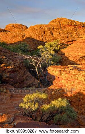 "Kings Canyon, Northern Territory, Australia, Oceania" View Large Photo Image Stock Photo - "Kings Canyon, Northern Territory, Australia, Oceania". Fotosearch