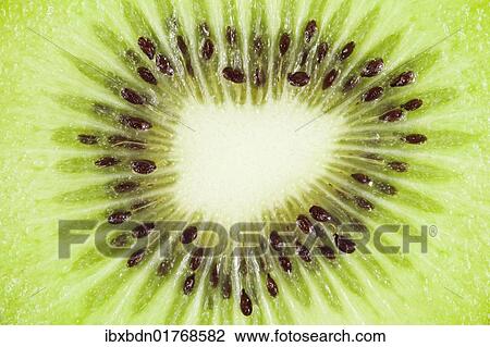 "Kiwi slice, macro" View Large Photo Image Stock Image - "Kiwi slice, macro". Fotosearch