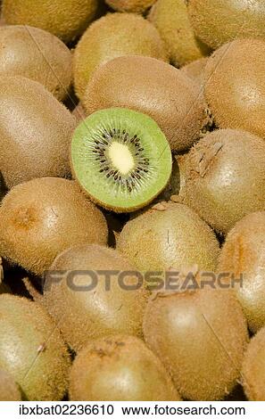 "Kiwifruits (Actinidia deliciosa), one cut open" View Large Photo Image Stock Image - "Kiwifruits (Actinidia deliciosa), one cut open". Fotosearch