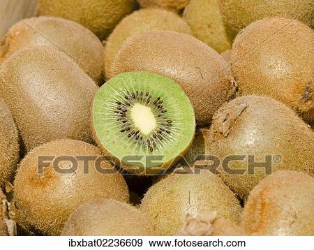 "Kiwifruits (Actinidia deliciosa), one cut open" View Large Photo Image Stock Photo - "Kiwifruits (Actinidia deliciosa), one cut open". Fotosearch
