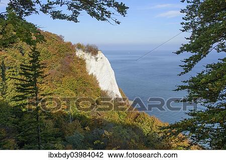 "Konigsstuhl, King's Chair, chalk cliffs in autumn, Jasmund National Park, Rugen, Mecklenburg-Western Pomerania, Germany, Europe" View Large Photo Image Stock Image - "Konigsstuhl, King's Chair, chalk cliffs in autumn, Jasmund National Park, Rugen, Mecklenburg-Western Pomerania, Germany, Europe". Fotosearch