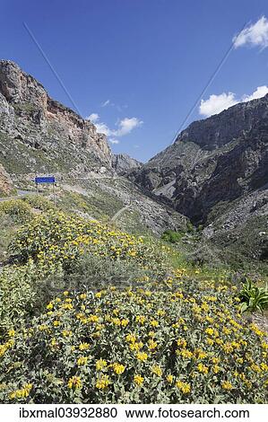 "Kourtaliotiko gorge, Megalopotamos river, Rethymno, Crete, Greece, Europe" View Large Photo Image Stock Image - "Kourtaliotiko gorge, Megalopotamos river, Rethymno, Crete, Greece, Europe". Fotosearch