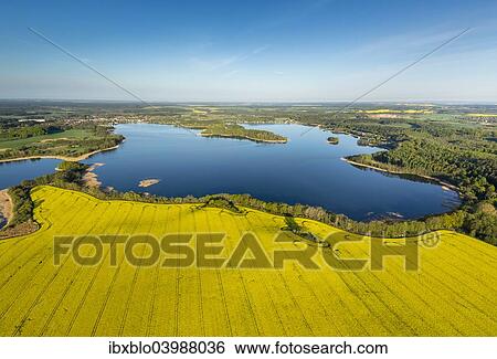"Krakower Seenlandschaft, lakeland nature reserve, with rape fields in full bloom, Kuchelmiss, Mecklenburg Lake District, Mecklenburg-Western Pomerania, Germany, Europe" View Large Photo Image Stock Photograph - "Krakower Seenlandschaft, lakeland nature reserve, with rape fields in full bloom, Kuchelmiss, Mecklenburg Lake District, Mecklenburg-Western Pomerania, Germany, Europe". Fotosearch