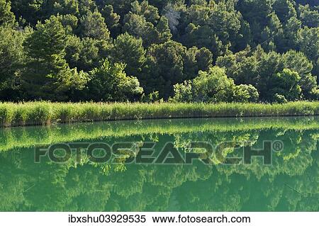 Stock Photography - "Krka river with reeds, Krka National Park, Skradin, Sibenik-Knin, Dalmatia, Croatia, Europe". Fotosearch