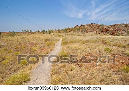 "Kunjarra or The Pebbles granite boulders, Northern Territory, Australia, Oceania" View Large Photo Image Stock Image - "Kunjarra or The Pebbles granite boulders, Northern Territory, Australia, Oceania". Fotosearch