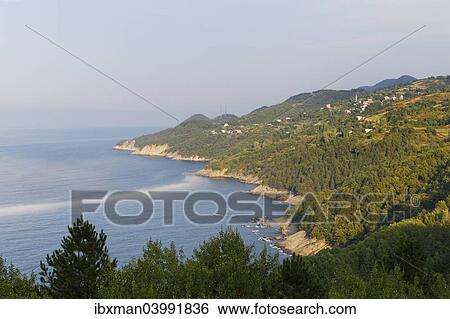 "Kure Mountains, Black Sea, near Doganyurt, Kastamonu Province, Black Sea Region, Turkey, Asia" View Large Photo Image Stock Photograph - "Kure Mountains, Black Sea, near Doganyurt, Kastamonu Province, Black Sea Region, Turkey, Asia". Fotosearch