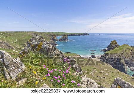 "Kynance Cove, Cornwall, England, United Kingdom, Europe" View Large Photo Image Stock Photo - "Kynance Cove, Cornwall, England, United Kingdom, Europe". Fotosearch