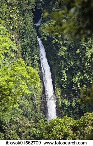 "La Paz waterfalls, rainforest, Central Highlands, Costa Rica, Central America, North America" View Large Photo Image Stock Photo - "La Paz waterfalls, rainforest, Central Highlands, Costa Rica, Central America, North America". Fotosearch