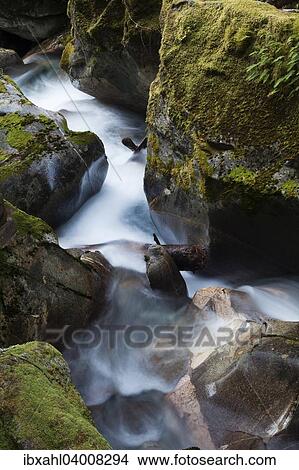 "Ladder Creek Falls, Newhalem, North Cascades National Park, Cascade Range, Washington, United States, North America" View Large Photo Image Picture - "Ladder Creek Falls, Newhalem, North Cascades National Park, Cascade Range, Washington, United States, North America". Fotosearch