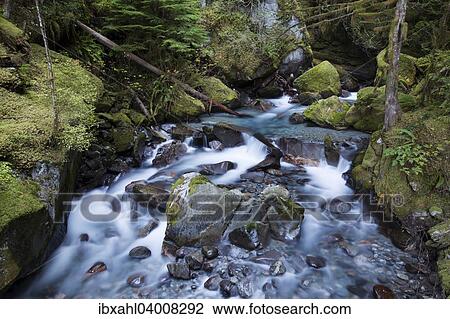 Stock Image - "Ladder Creek Falls, Newhalem, North Cascades National Park, Cascade Range, Washington, United States, North America". Fotosearch