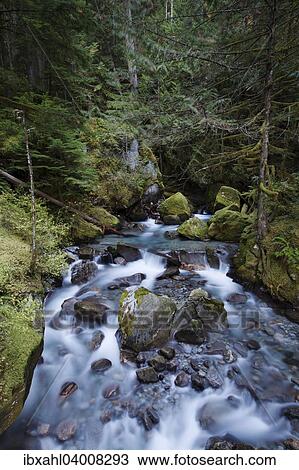 "Ladder Creek Falls, Newhalem, North Cascades National Park, Cascade Range, Washington, United States, North America" View Large Photo Image Stock Image - "Ladder Creek Falls, Newhalem, North Cascades National Park, Cascade Range, Washington, United States, North America". Fotosearch