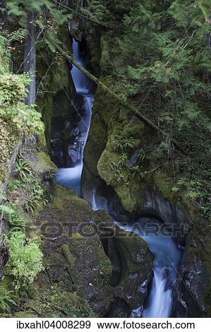 "Ladder Creek Falls, Newhalem, North Cascades National Park, Cascade Range, Washington, United States, North America" View Large Photo Image Stock Photo - "Ladder Creek Falls, Newhalem, North Cascades National Park, Cascade Range, Washington, United States, North America". Fotosearch