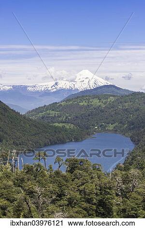 "Lago Tinquilco lake and volcano Villarrica, Pucon, Araucania Region, Chile, South America" View Large Photo Image Stock Image - "Lago Tinquilco lake and volcano Villarrica, Pucon, Araucania Region, Chile, South America". Fotosearch