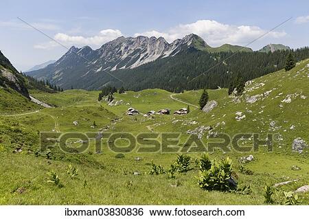 "Laguz Alps with Breithorn Mountain, Grosses Walsertal Biosphere Reserve, Vorarlberg, Austria, Europe" View Large Photo Image Stock Photograph - "Laguz Alps with Breithorn Mountain, Grosses Walsertal Biosphere Reserve, Vorarlberg, Austria, Europe". Fotosearch