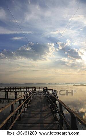"Lake, boardwalk, Federsee lake, near Bad Buchau, Baden-Wurttemberg, Germany, Europe" View Large Photo Image Stock Image - "Lake, boardwalk, Federsee lake, near Bad Buchau, Baden-Wurttemberg, Germany, Europe". Fotosearch