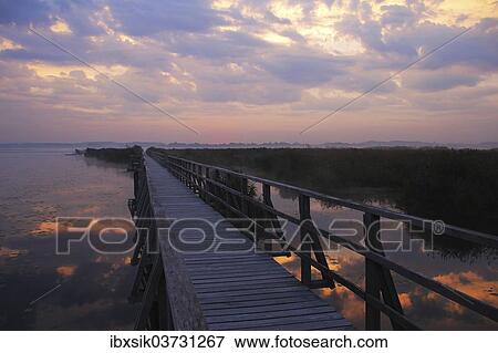 "Lake, boardwalk, Federseesteg or Lake Federsee Pier, Federsee lake, near Bad Buchau, Baden-Wurttemberg, Germany, Europe" View Large Photo Image Stock Photo - "Lake, boardwalk, Federseesteg or Lake Federsee Pier, Federsee lake, near Bad Buchau, Baden-Wurttemberg, Germany, Europe". Fotosearch