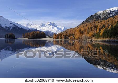 Stock Image - "Lake Champfer with larch forest with autumnal colouring, Mt Piz da la Margna at back, St. Moritz, Engadine, Grisons, Switzerland, Europe". Fotosearch