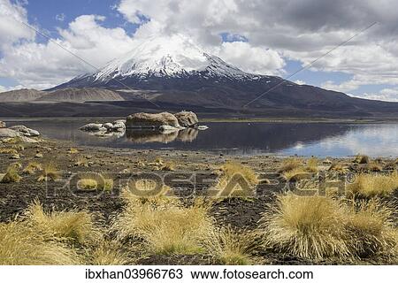 "Lake Chungara and the Parinacota volcano, Putre, Arica and Parinacota Region, Chile, South America" View Large Photo Image Stock Image - "Lake Chungara and the Parinacota volcano, Putre, Arica and Parinacota Region, Chile, South America". Fotosearch