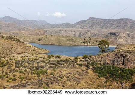 "Lake El Juncal, a small reservoir in the Pinar de Pajonales National Park, Roque Bentaiga, Gran Canaria, Canary Islands, Spain, Europe, PublicGround, Europe" View Large Photo Image Stock Photo - "Lake El Juncal, a small reservoir in the Pinar de Pajonales National Park, Roque Bentaiga, Gran Canaria, Canary Islands, Spain, Europe, PublicGround, Europe". Fotosearch