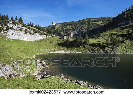 "Lake Faehlensee, on 1446m, and the Bollenwees mountain inn, canton of Appenzell Inner-Rhodes, Switzerland, Europe" View Large Photo Image Stock Photo - "Lake Faehlensee, on 1446m, and the Bollenwees mountain inn, canton of Appenzell Inner-Rhodes, Switzerland, Europe". Fotosearch