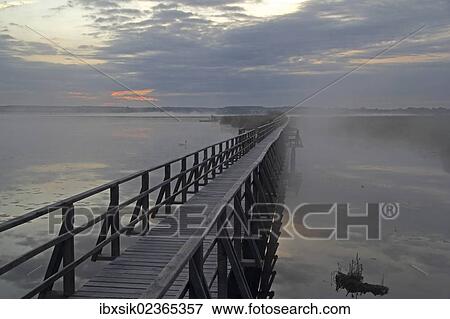 "Lake Federsee boardwalk, morning mood, nature reserve, Upper Swabia, Baden-Wuerttemberg, Germany, Europe" View Large Photo Image Stock Photo - "Lake Federsee boardwalk, morning mood, nature reserve, Upper Swabia, Baden-Wuerttemberg, Germany, Europe". Fotosearch