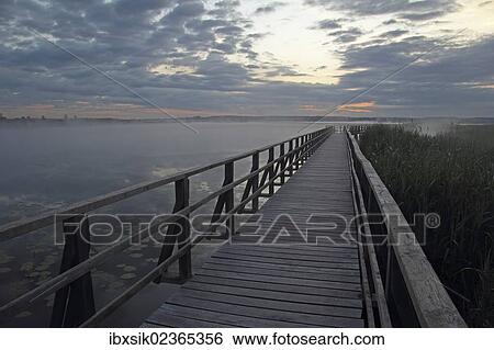"Lake Federsee boardwalk, morning mood, nature reserve, Upper Swabia, Baden-Wuerttemberg, Germany, Europe" View Large Photo Image Stock Photograph - "Lake Federsee boardwalk, morning mood, nature reserve, Upper Swabia, Baden-Wuerttemberg, Germany, Europe". Fotosearch
