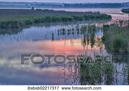 "Lake Federsee with a moor in the morning light, Lake Federsee district, near Bad Buchau, Baden-Wuerttemberg, Germany, Europe" View Large Photo Image Stock Photo - "Lake Federsee with a moor in the morning light, Lake Federsee district, near Bad Buchau, Baden-Wuerttemberg, Germany, Europe". Fotosearch