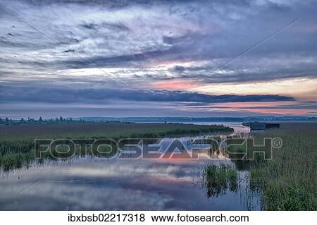 "Lake Federsee with a moor in the morning light, Lake Federsee district, near Bad Buchau, Baden-Wuerttemberg, Germany, Europe" View Large Photo Image Stock Photo - "Lake Federsee with a moor in the morning light, Lake Federsee district, near Bad Buchau, Baden-Wuerttemberg, Germany, Europe". Fotosearch
