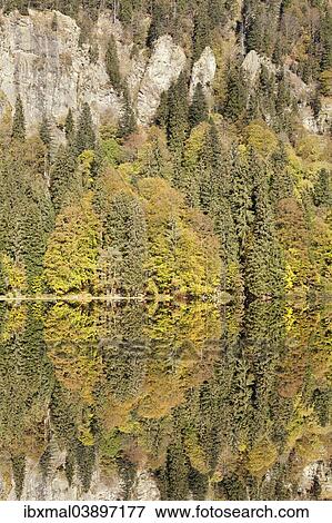 "Lake Feldsee and Feldberg mountain, Black Forest, Baden-Wurttemberg, Germany, Europe" View Large Photo Image Stock Photo - "Lake Feldsee and Feldberg mountain, Black Forest, Baden-Wurttemberg, Germany, Europe". Fotosearch