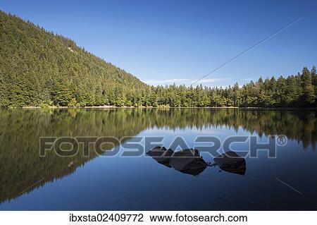 "Lake Feldsee on a late summer day, Feldberg Mountain, Black Forest, Baden-Wuerttemberg, Germany, Europe, PublicGround, Europe" View Large Photo Image Stock Image - "Lake Feldsee on a late summer day, Feldberg Mountain, Black Forest, Baden-Wuerttemberg, Germany, Europe, PublicGround, Europe". Fotosearch