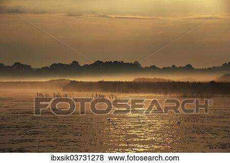 "Lake, fog, Federsee lake, near Bad Buchau, Baden-Wurttemberg, Germany, Europe" View Large Photo Image Stock Photo - "Lake, fog, Federsee lake, near Bad Buchau, Baden-Wurttemberg, Germany, Europe". Fotosearch