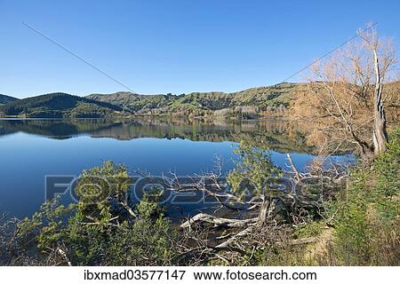 "Lake Horowhenua, near Levin, Manawatu-Wanganui Region, North Island, New Zealand, Oceania" View Large Photo Image Stock Photo - "Lake Horowhenua, near Levin, Manawatu-Wanganui Region, North Island, New Zealand, Oceania". Fotosearch