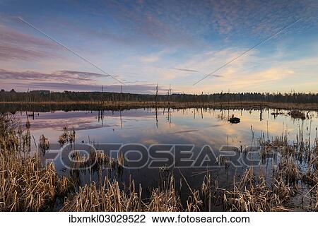 Stock Image - "Lake in Schwenninger Moos Nature Reserve, Schwarzwald, Villingen-Schwenningen, Baden-Wurttemberg, Germany, Europe". Fotosearch