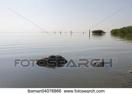 "Lake Neusiedl, Purbach am Neusiedler See, Northern Burgenland, Burgenland, Austria, Europe" View Large Photo Image Stock Photograph - "Lake Neusiedl, Purbach am Neusiedler See, Northern Burgenland, Burgenland, Austria, Europe". Fotosearch