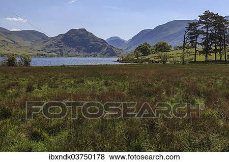 "Lake of Crummock Water, Lake District National Park, Cumbria, England, United Kingdom, Europe" View Large Photo Image Stock Photo - "Lake of Crummock Water, Lake District National Park, Cumbria, England, United Kingdom, Europe". Fotosearch