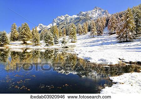 "Lake Schwarzsee or Lai Nair with snow-covered larch forest, Tarasp, Engadin, Graubunden, Switzerland, Europe" View Large Photo Image Stock Photograph - "Lake Schwarzsee or Lai Nair with snow-covered larch forest, Tarasp, Engadin, Graubunden, Switzerland, Europe". Fotosearch