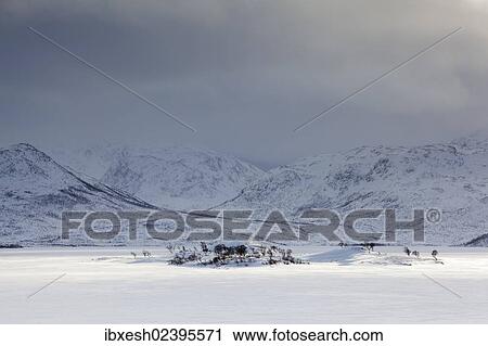 "Lake Skogsfjordvatnet in winter, Tromso, Norway, Europe" View Large Photo Image Stock Image - "Lake Skogsfjordvatnet in winter, Tromso, Norway, Europe". Fotosearch