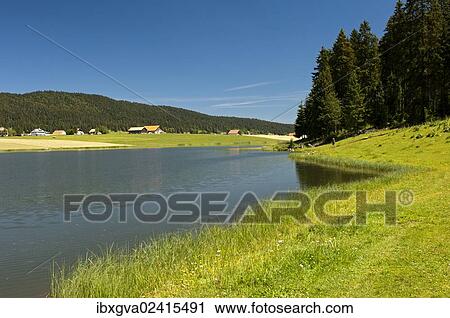 "Lake Tailleres, Lac des Tailleres in summer, in the Vallee de la Brevine, La Brevine Valley, Neuchatel Jura, Switzerland, Europe" View Large Photo Image Stock Image - "Lake Tailleres, Lac des Tailleres in summer, in the Vallee de la Brevine, La Brevine Valley, Neuchatel Jura, Switzerland, Europe". Fotosearch